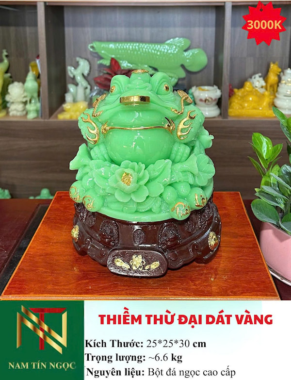 THIỀM THỪ ĐẠI DÁT VÀNG